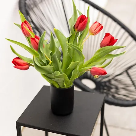 Peak - Old Town - By Cityhost 4*