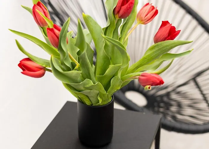 Peak - Old Town - By Cityhost 4*